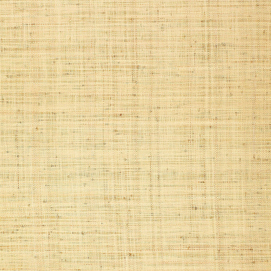 Schumacher | Bellezza Ground wallcovering - 528944