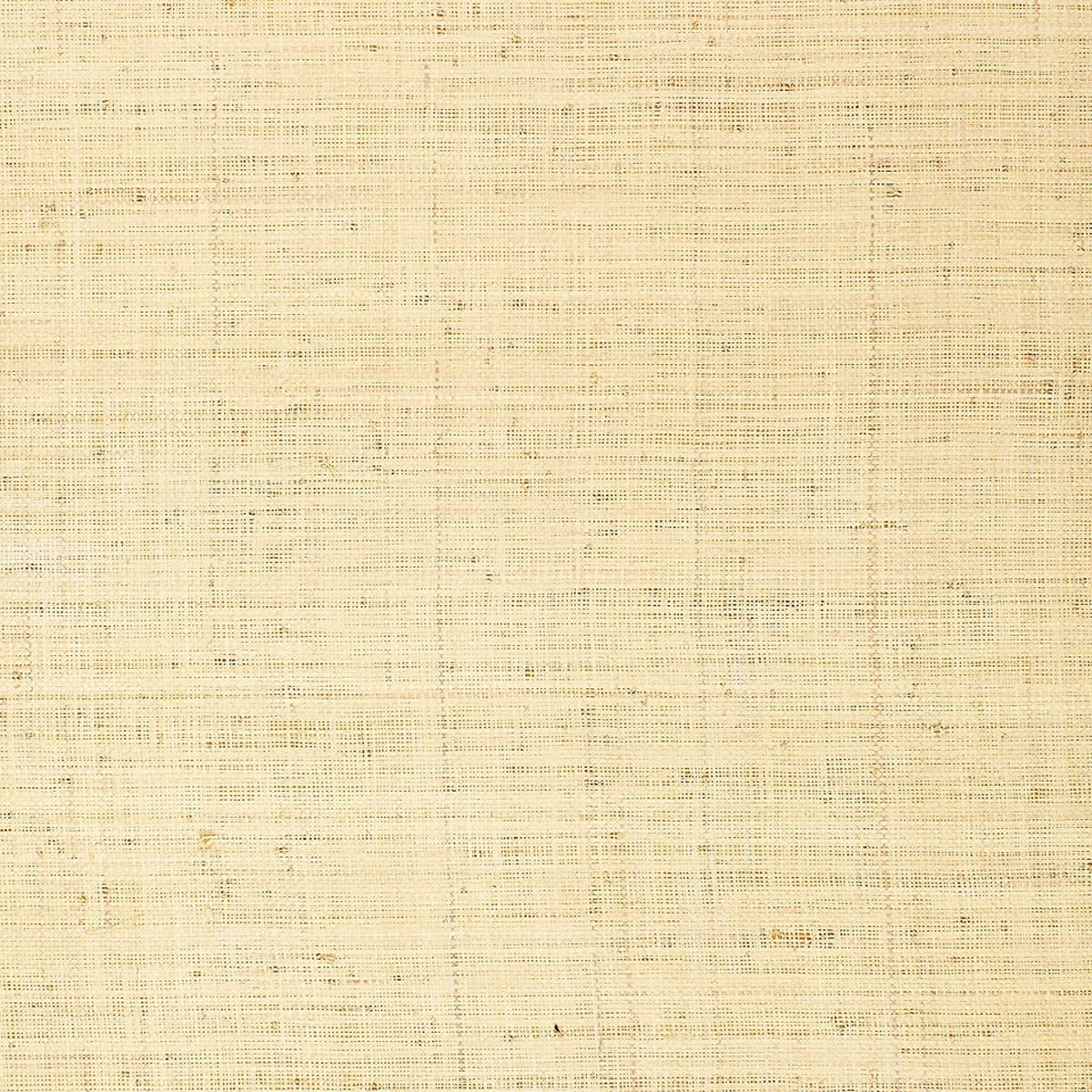 Schumacher | Bellezza Ground wallcovering - 528945
