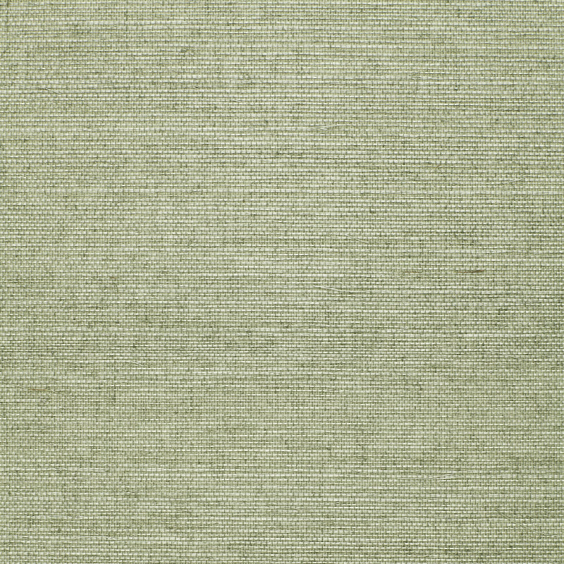 Schumacher | Osan Sisal wallcovering - 529631