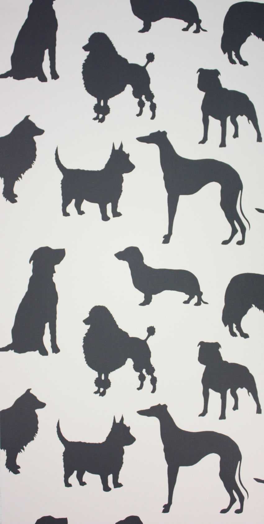 Osborne & Little | Best In Show wallcovering - W6181-03