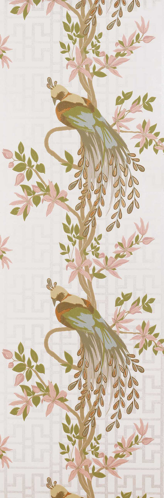 Nina Campbell | Paradiso wallcovering - NCW4030-01