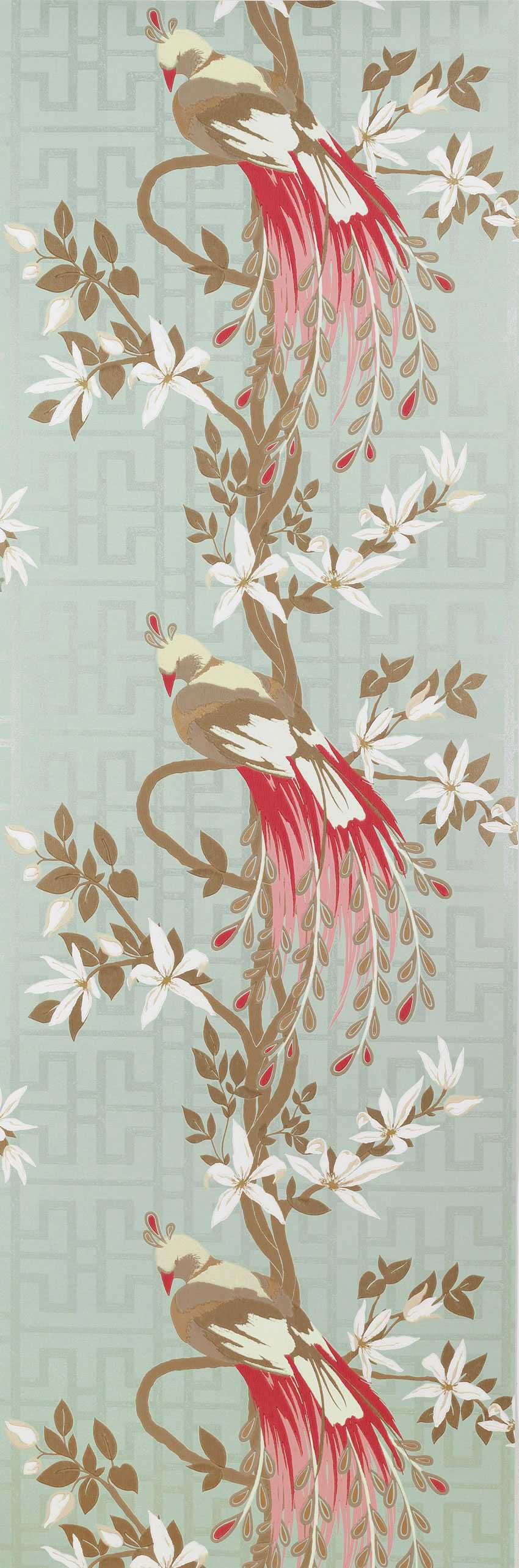 Nina Campbell | Paradiso wallcovering - NCW4030-02