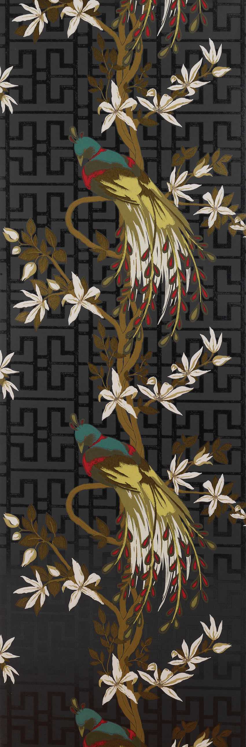 Nina Campbell | Paradiso wallcovering - NCW4030-05