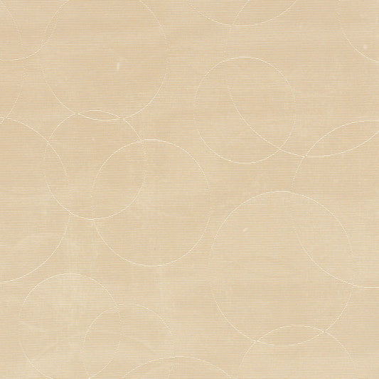 Schumacher | Effervescence Moiré fabric - 55380