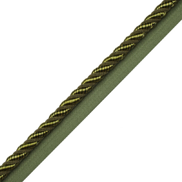 3/8" Aurelia Cord with Tape - Apple Green