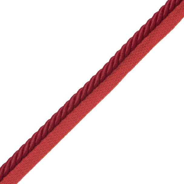 3/8" Saisons Cord with Tape - Boysenberry