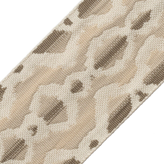 Serpiente Border - Salt