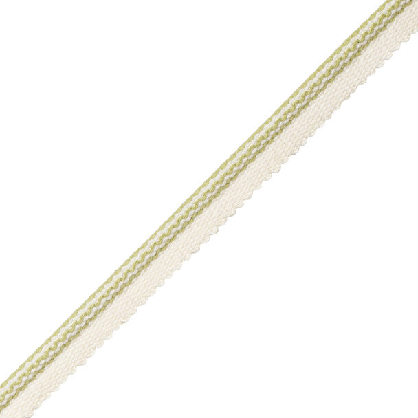 Sorrento Cotton Piping - Basil