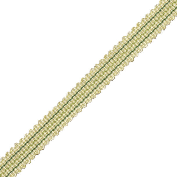 Tiverton Striped Gimp - Fern