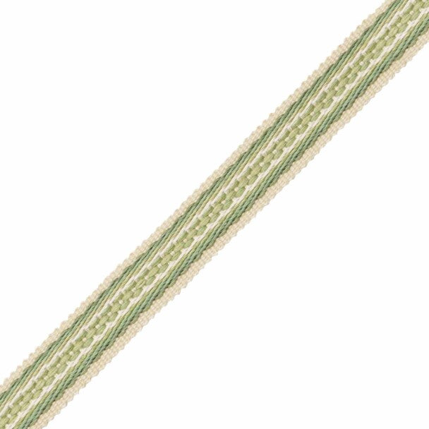 3/4" (19 Mm) Tiverton Border - Fern
