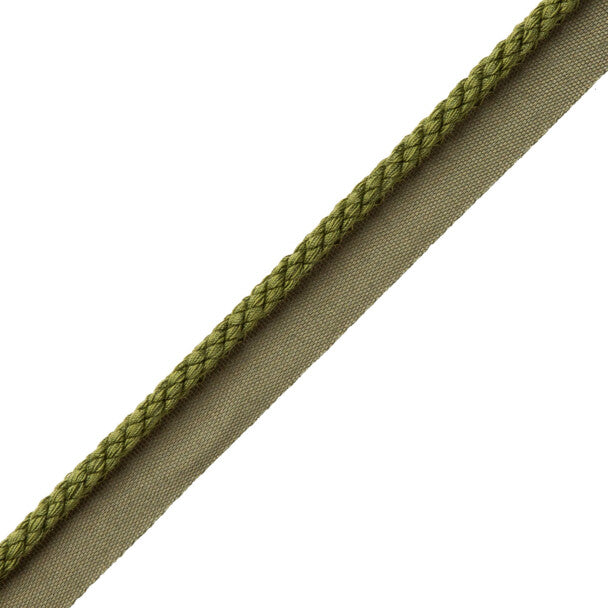 1/4" Cambridge Cord with Tape - Basil