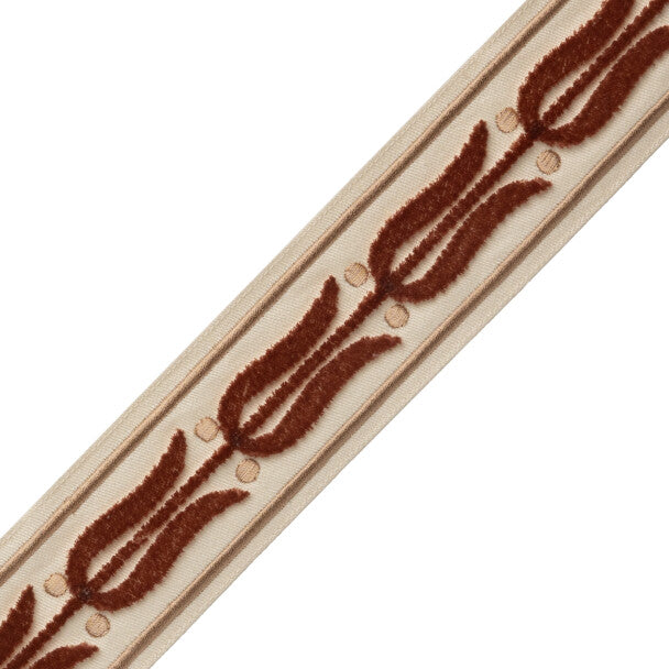 Émile Velvet Border - Shell
