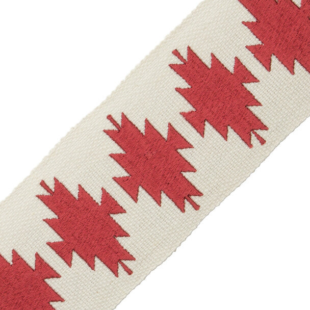 Abiquiú Embroidered Border - Cactus Bloom