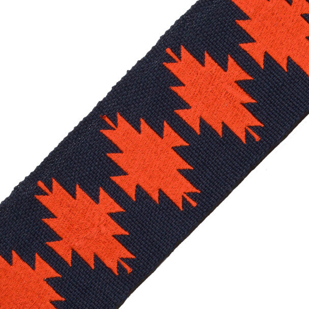 Abiquiú Embroidered Border - Painted Desert