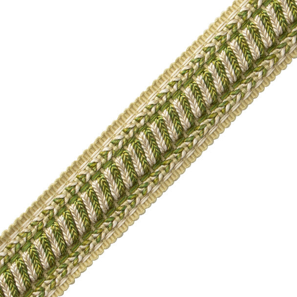 Bagatelle Braid - Fern