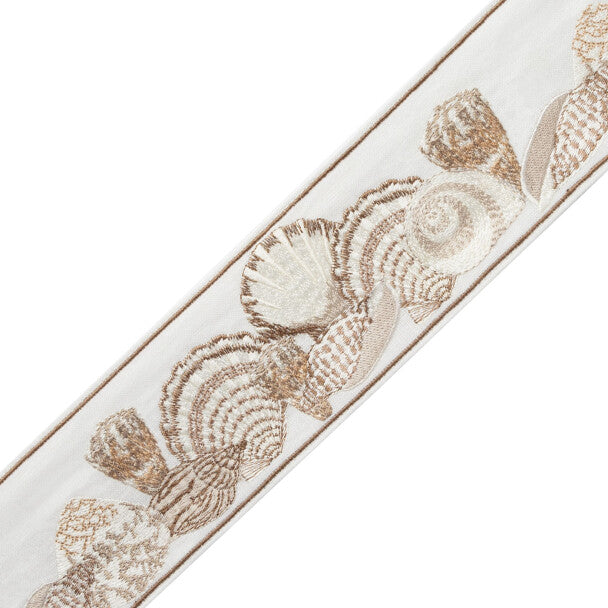Corsica Seashell Border - Oyster