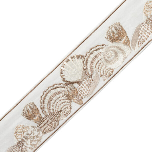 Corsica Seashell Border - Oyster