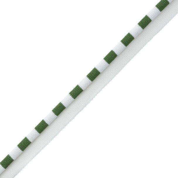 MDS Stripe Piping - Fern