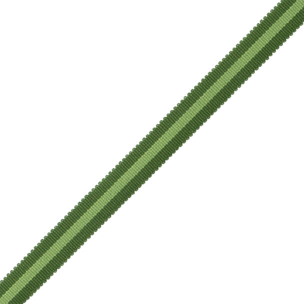 MDS Stripe Gimp - Evergreen