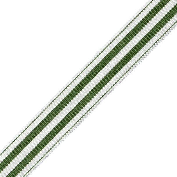 MDS 1" (26 Mm) Stripe Border - Fern