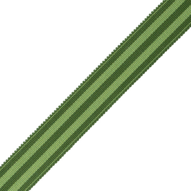 MDS 1" (26 Mm) Stripe Border - Evergreen