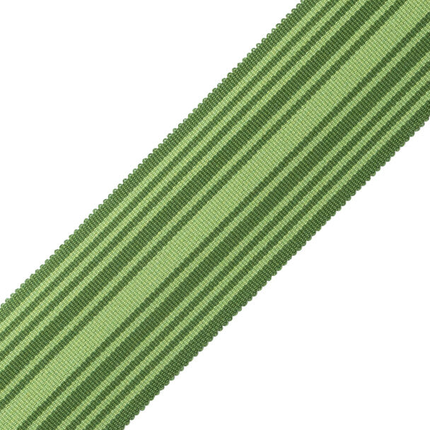 MDS 2" (51 Mm) Stripe Border - Evergreen