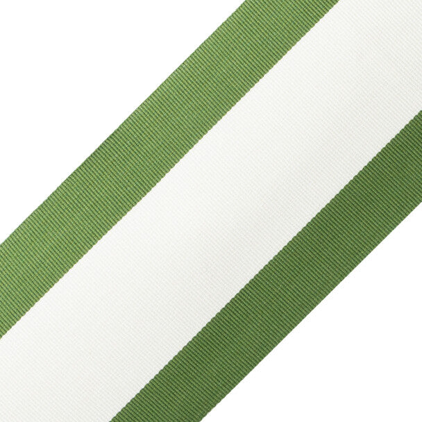 MDS 4" (10.1 Cm) Stripe Border - Fern