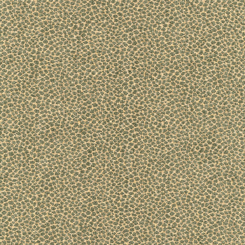 Schumacher | Kenya Texture fabric - 62571
