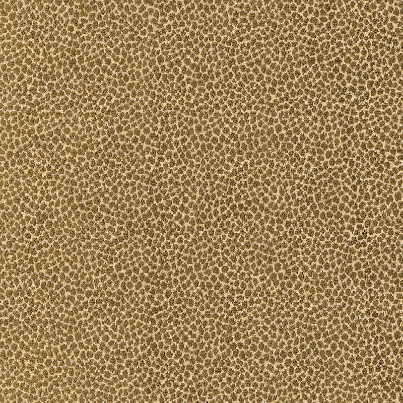 Schumacher | Kenya Texture fabric - 62572
