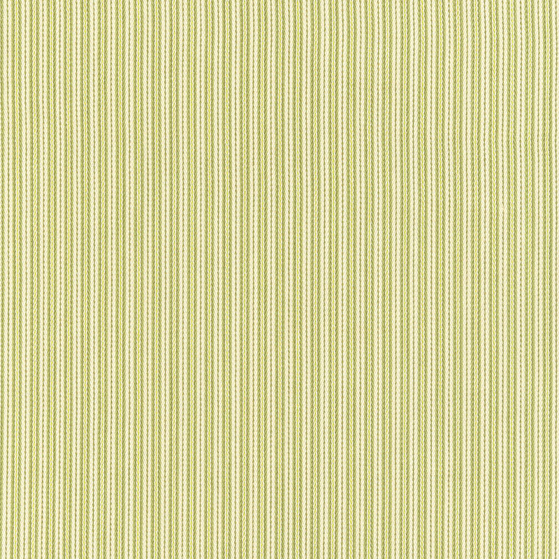 Schumacher | Baker Cotton Stripe fabric - 63001