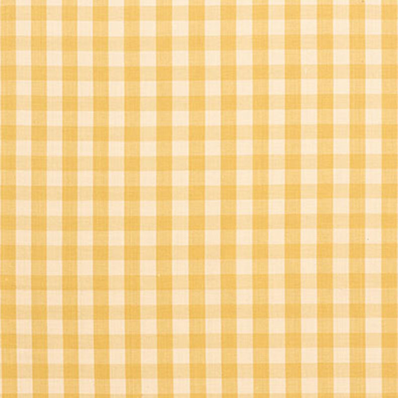 Schumacher | Elton Cotton Check fabric - 63052