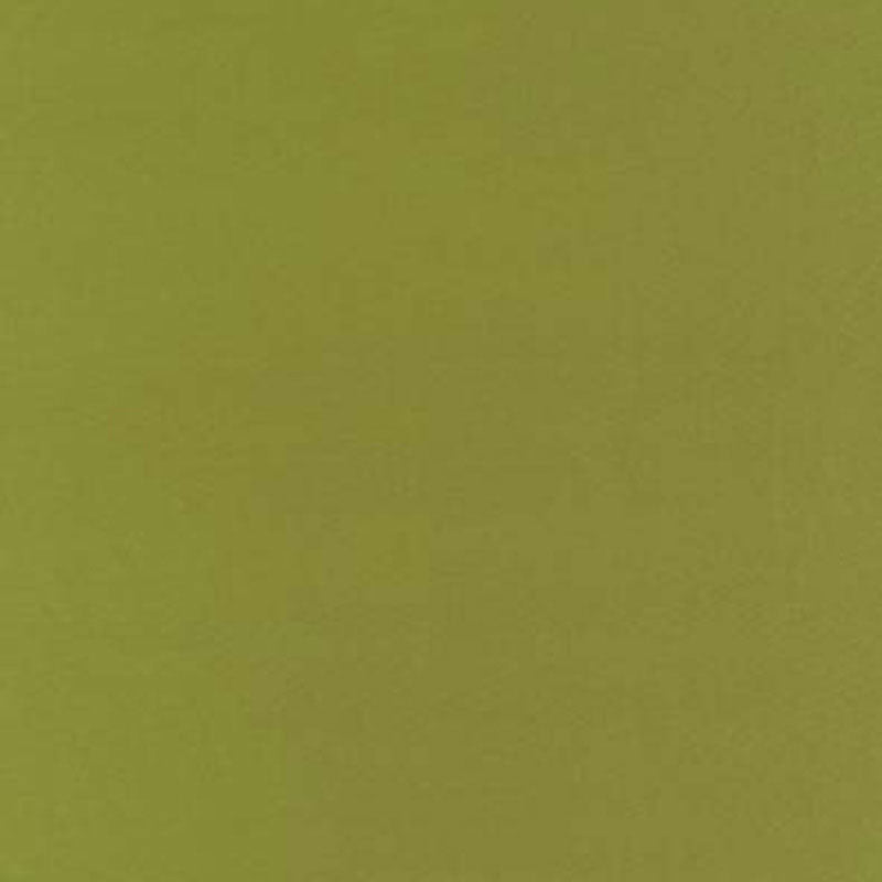 Schumacher | Botticelli Silk Taffeta fabric - 63827