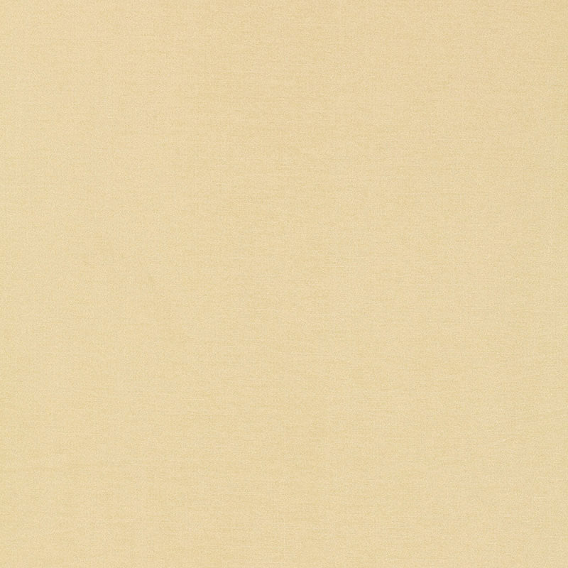 Schumacher | Tiepolo Shantung Weave fabric - 63841