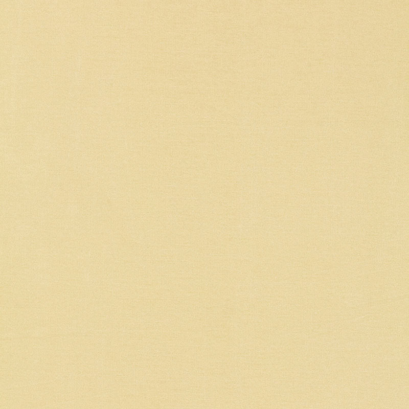 Schumacher | Tiepolo Shantung Weave fabric - 63842
