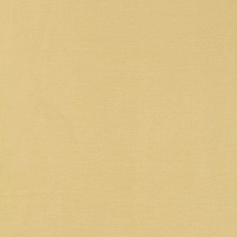 Schumacher | Tiepolo Shantung Weave fabric - 63843