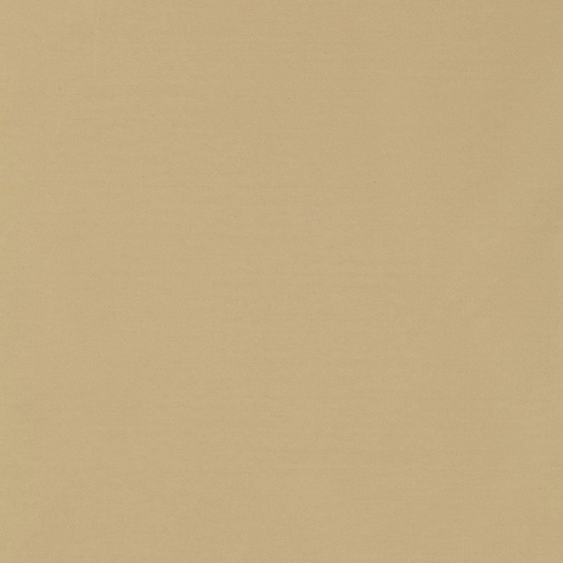 Schumacher | Masaccio Taffeta fabric - 63900