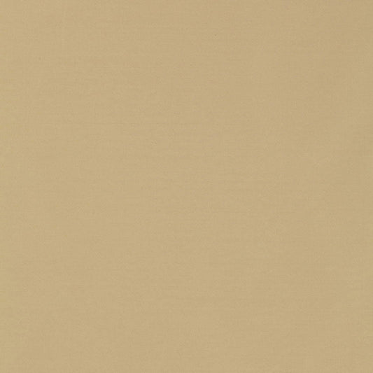 Schumacher | Masaccio Taffeta fabric - 63900