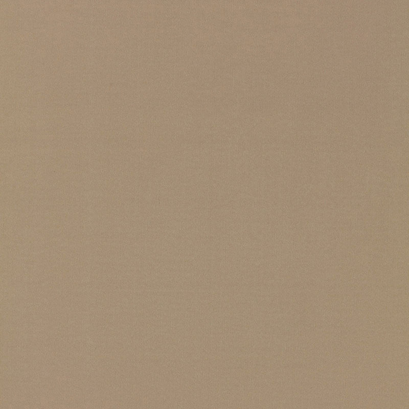 Schumacher | Masaccio Taffeta fabric - 63901