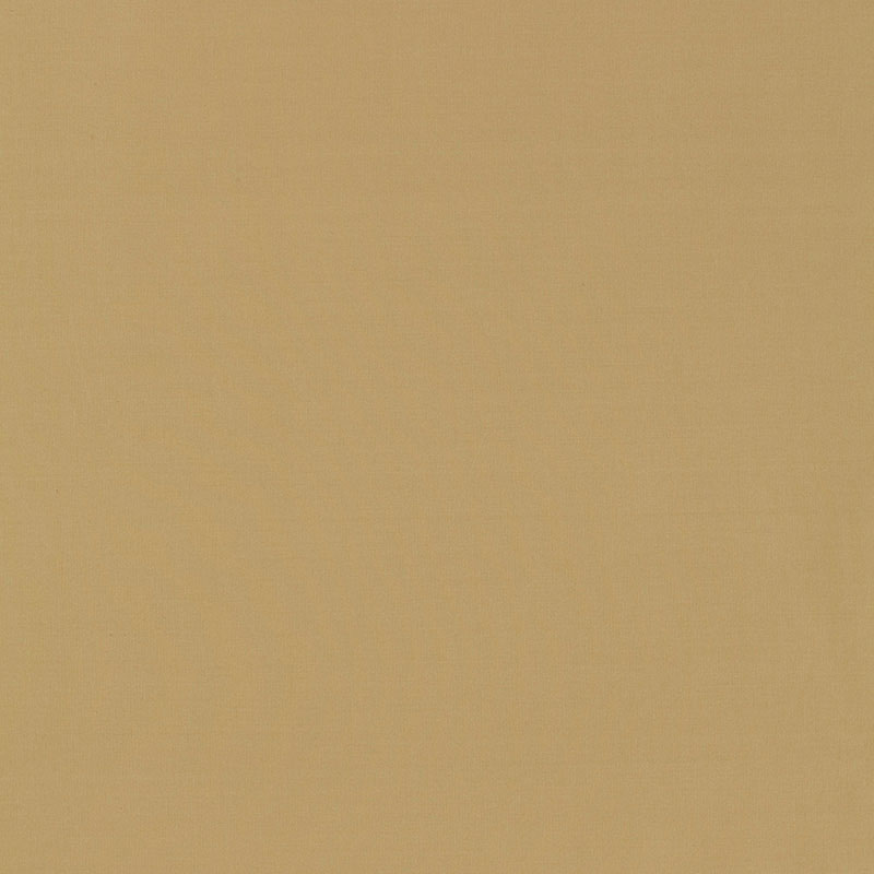 Schumacher | Masaccio Taffeta fabric - 63908
