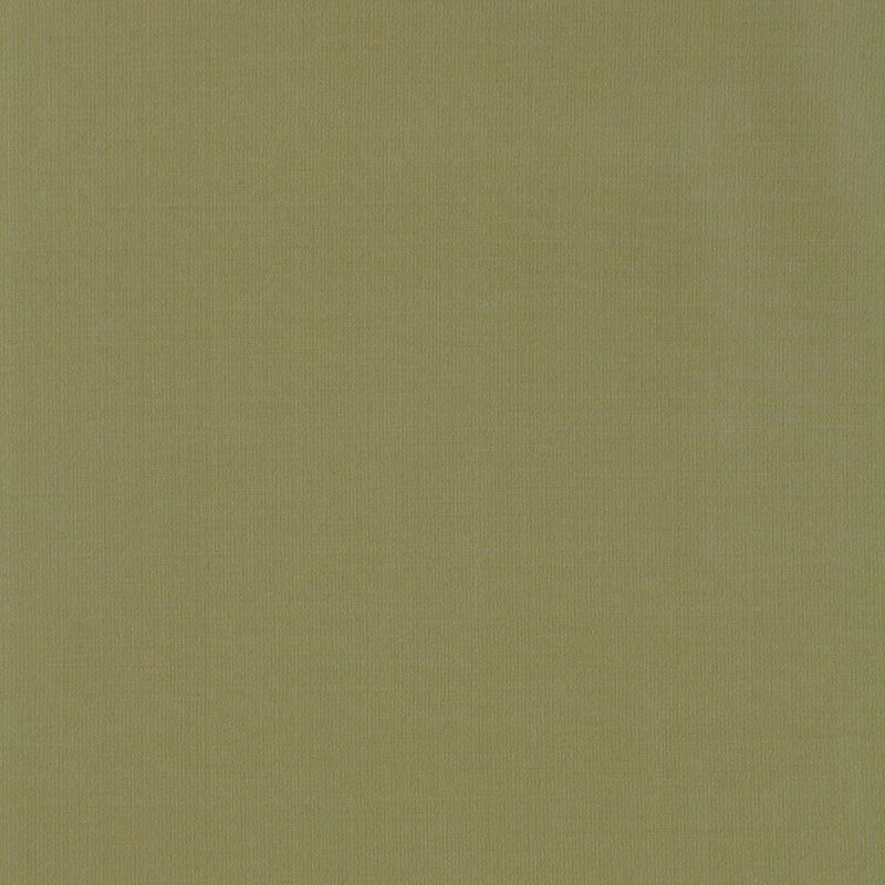 Schumacher | Masaccio Taffeta fabric - 63913