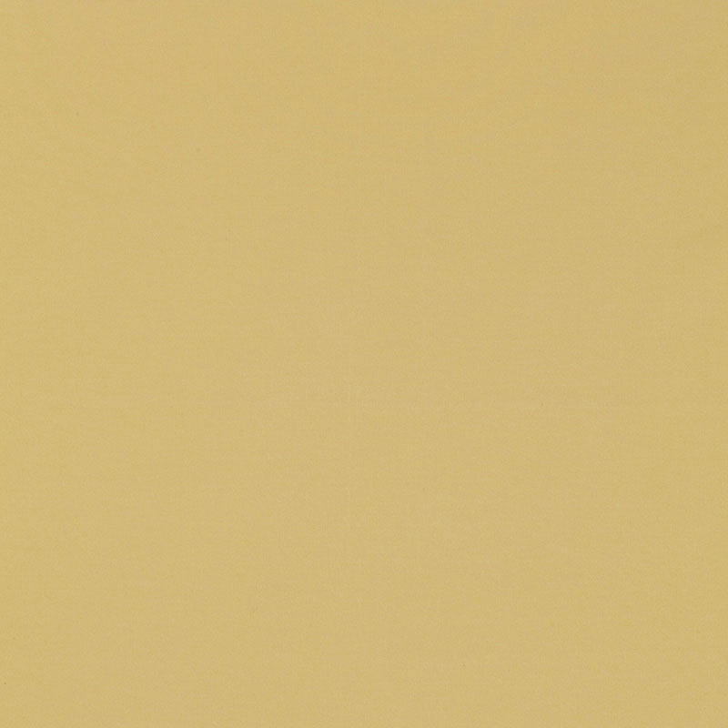 Schumacher | Masaccio Taffeta fabric - 63926
