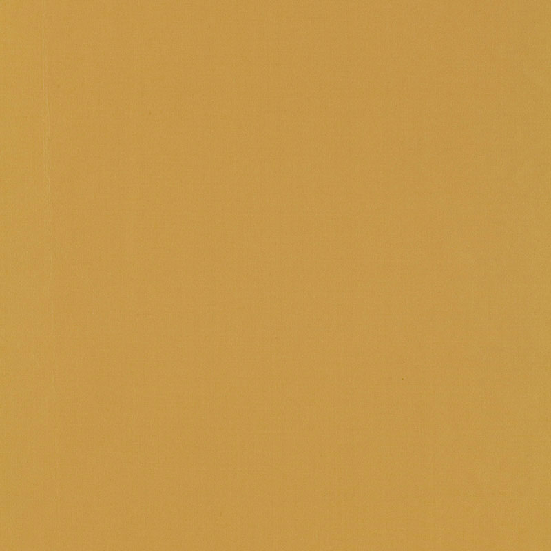 Schumacher | Masaccio Taffeta fabric - 63927