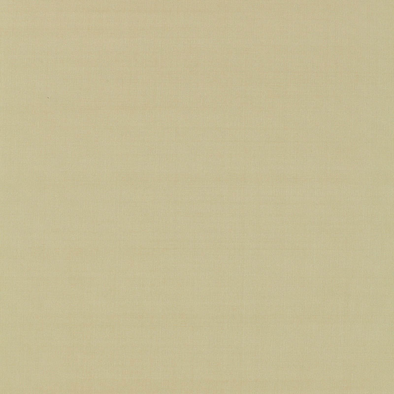 Schumacher | Giordano Taffeta fabric - 63951