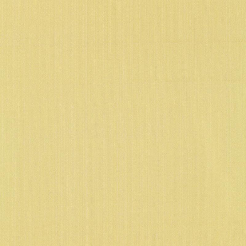 Schumacher | Giordano Taffeta fabric - 63952