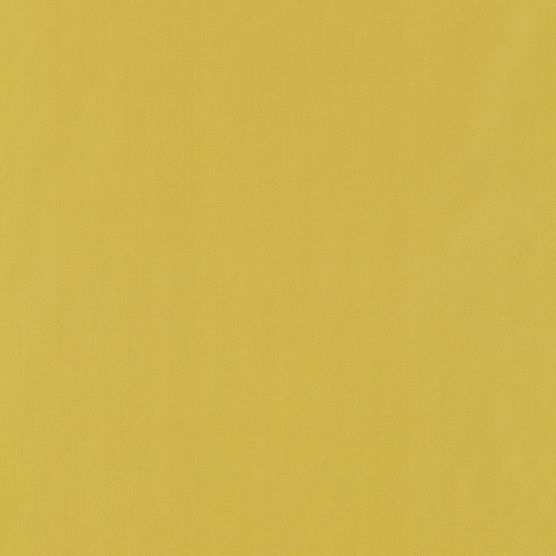 Schumacher | Giordano Taffeta fabric - 63955