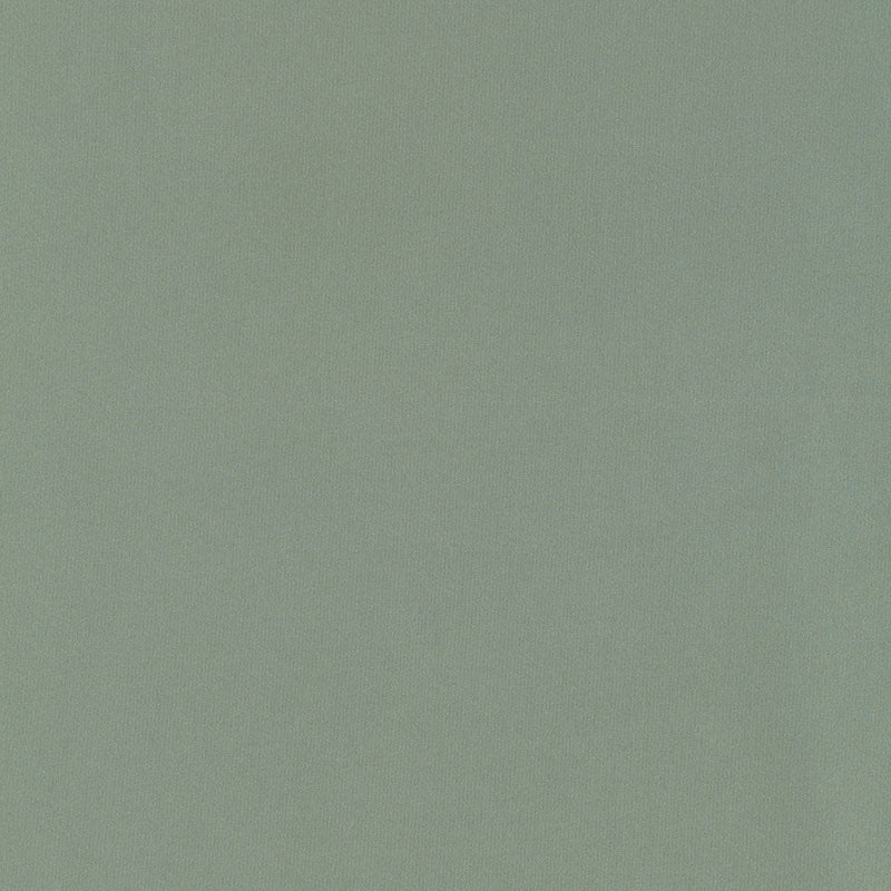 Schumacher | Giordano Taffeta fabric - 63965