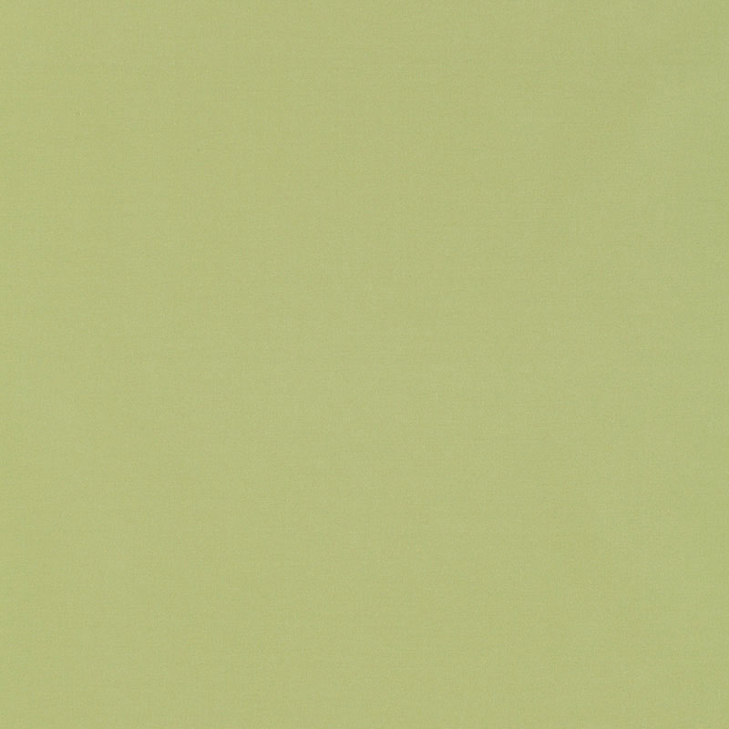 Schumacher | Giordano Taffeta fabric - 63971