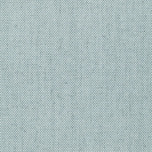 Schumacher | Sahara Weave fabric - 64614
