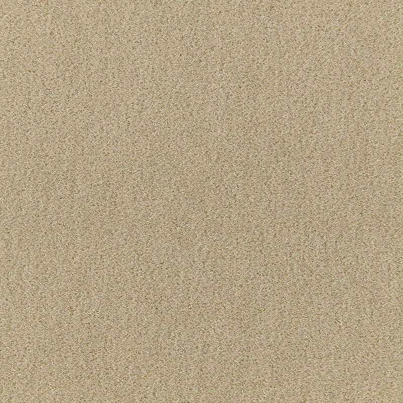 Schumacher | San Carlo Mohair Velvet fabric - 64871