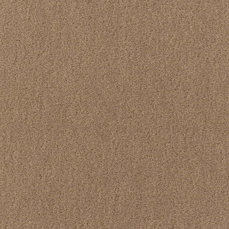 Schumacher | San Carlo Mohair Velvet fabric - 64885